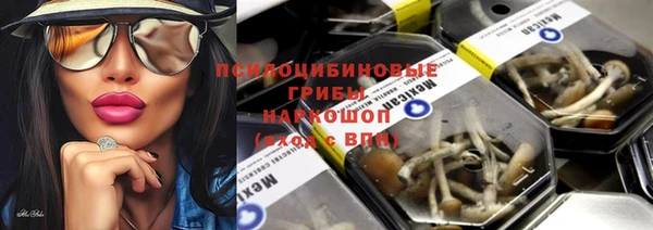 крисы Беломорск
