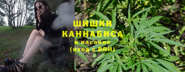 крисы Беломорск