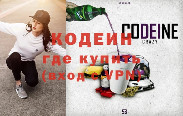 твердый Снежногорск